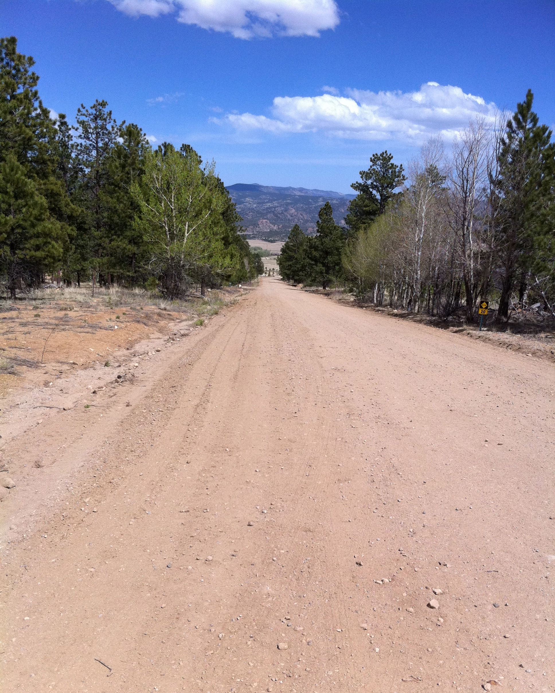 This is a look down the dirt road. We walked up the road.